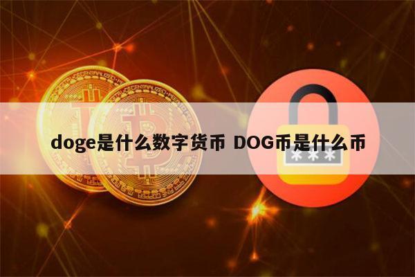 虚拟货币有哪些？dogecoin钱包节点-图3