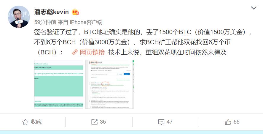 btc如何自动切换bch？BTC转到BCH钱包-图3