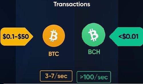 btc和bch的优缺点？btc和bch钱包一样-图3