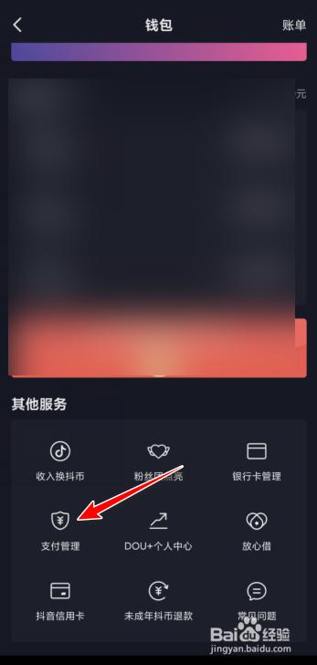 抖音右上三个点点开怎么没有钱包？钱包界面-图1