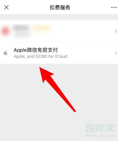 苹果手机怎么开通支付功能？开始钱包ios-图3