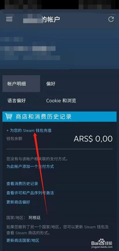 手机steam怎么看钱包？浏览器钱包应用在哪里-图3