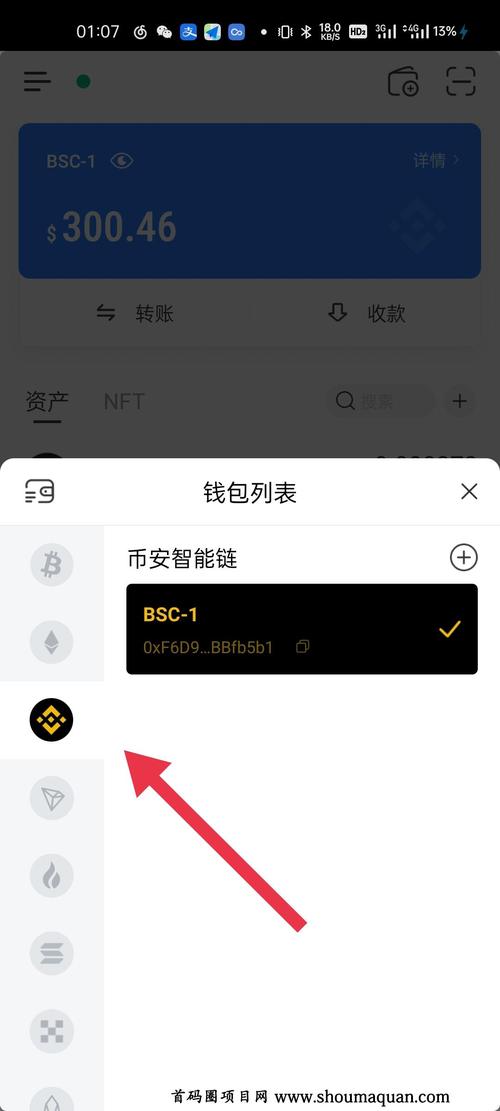 bnb是什么货币？bnb开头的钱包地址-图3