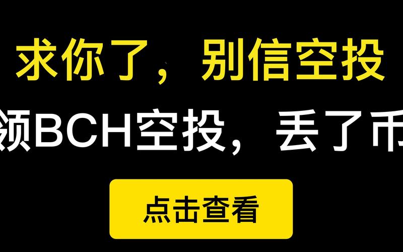 bch空投怎么获得？bch电脑钱包-图2