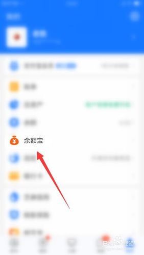 支付宝里面余额宝显示不出钱数是什么情况？钱包余额不见涨-图3