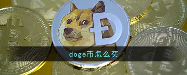 doge币如何获取？狗狗币安卓钱包怎么使用方法-图3