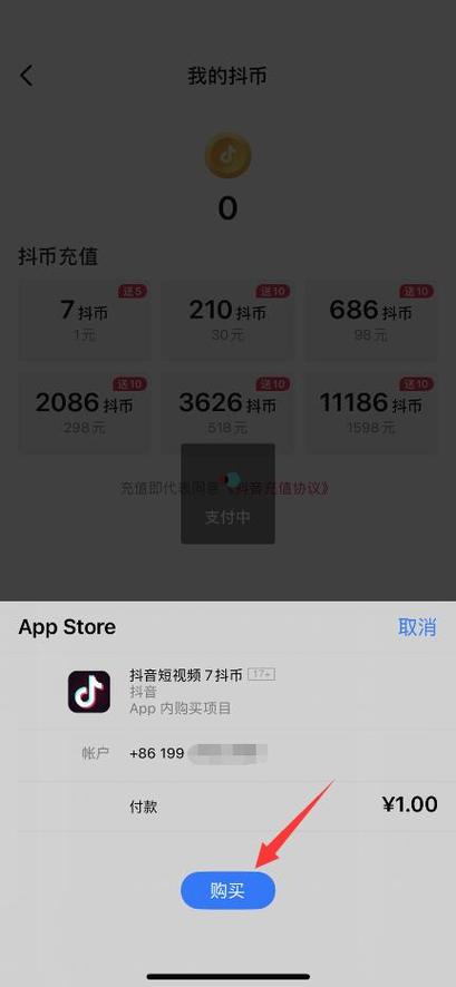 苹果抖音充值扣款哪里看？苹果币钱包-图1
