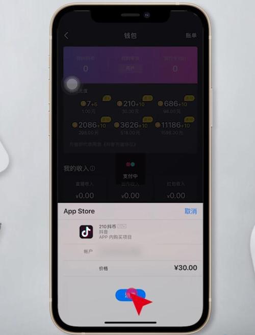 苹果抖音充值扣款哪里看？苹果币钱包-图2