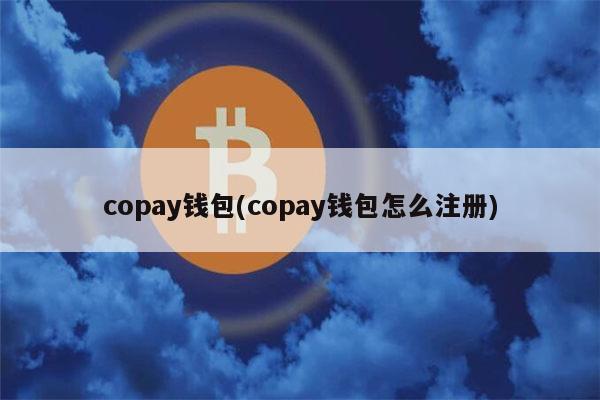 copay钱包怎么充？copay钱包不需要账户-图2