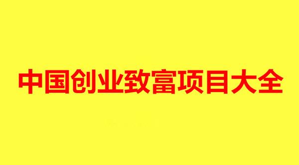 一天收入1000元左右，有哪些致富项目？中国经常项目-图1