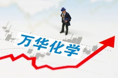 万华化学集团股份有限公司创业过程？万华化学pc项目-图3