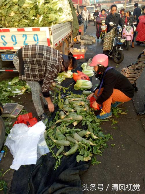 冬天早市卖什么最挣钱？冬季赚钱项目-图2