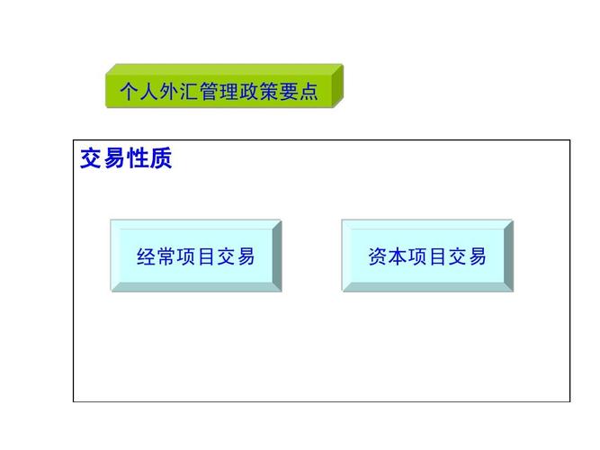 外汇经常项目和资本项目包括哪些？外汇个人经常项目-图3