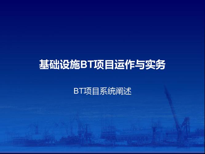 什么叫bt项目？BT项目查询-图3