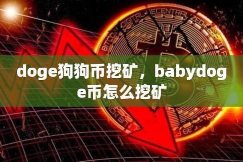 babydoge 怎么转钱包？狗狗币放在哪个钱包-图3