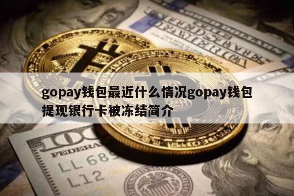 gopay是什么？炒虚拟币用的网络钱包-图2