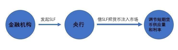 psl贷款怎么申请？psl贷款项目-图2