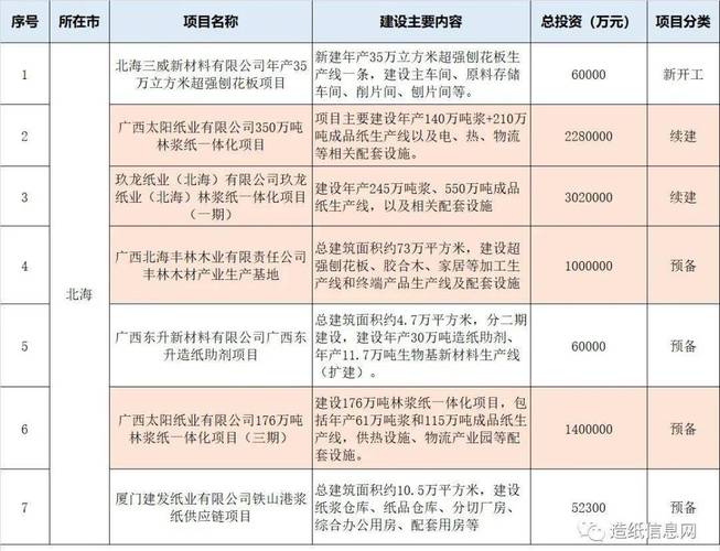 玖龙纸业广西北海什么时候投产？林浆纸一体化项目-图2