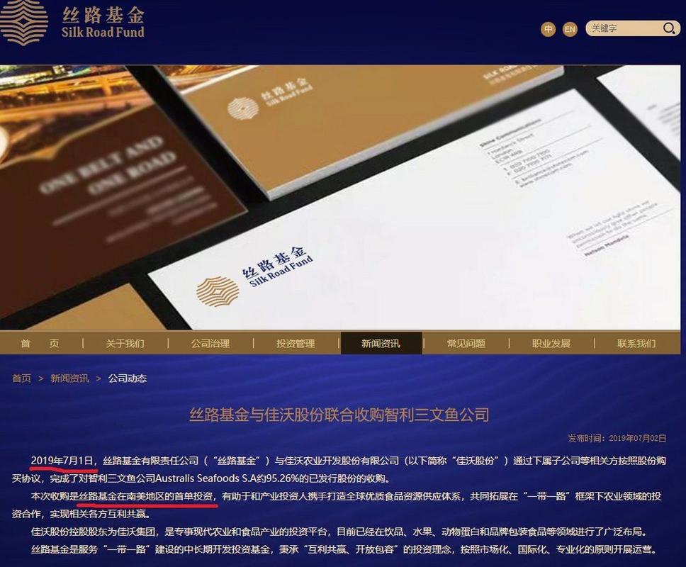 丝路基金是国企吗？丝路基金投资项目-图2