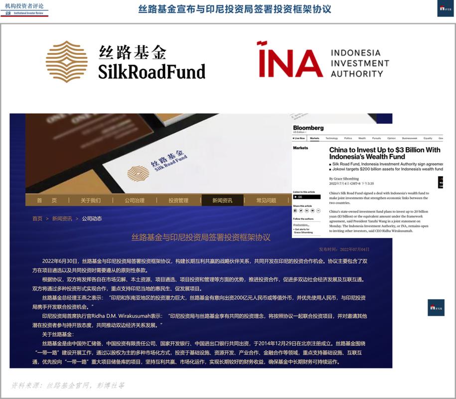 丝路基金是国企吗？丝路基金投资项目-图3