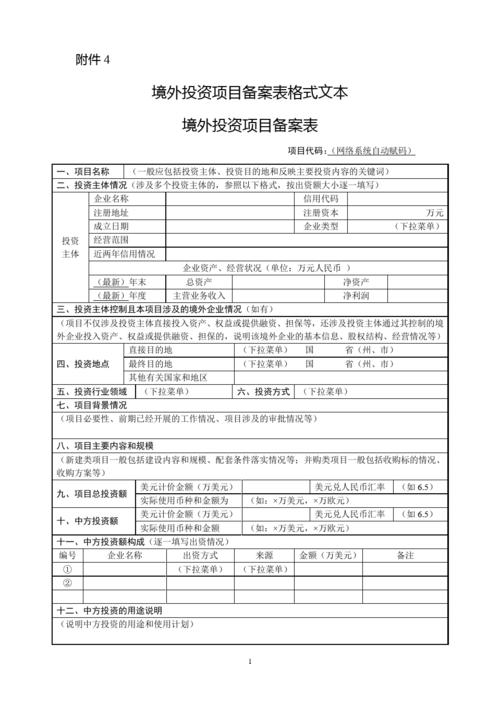 安徽投资备案网？境外投资项目备案表-图1