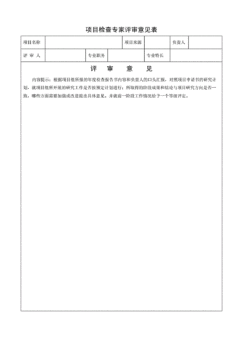 项目专家评审中的简短评语？项目审查意见-图3