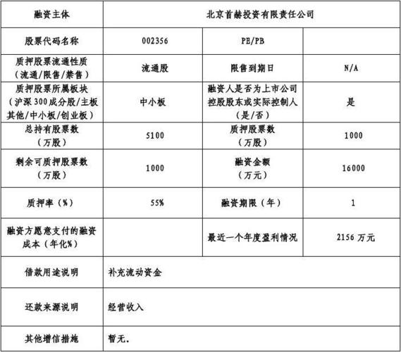 df项目是什么意思？项目质押是什么意思-图2