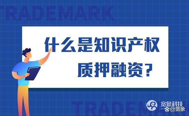 df项目是什么意思？项目质押是什么意思-图3