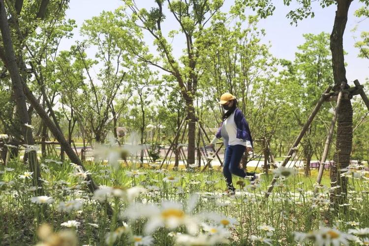 森兰绿地可以钓鱼吗？森兰外高桥项目-图3