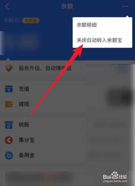 支付宝怎么设置直接可以看到余额？钱包余额 命令-图1