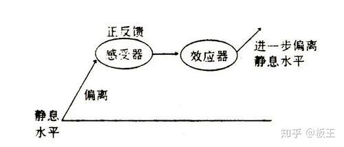 前反馈和后反馈特点？项目后评估机制-图2