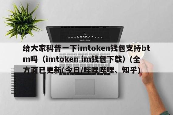 im钱包里面还有btm怎么转出来？btm 钱包申请-图2