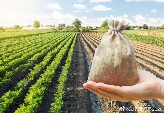 投资农业有没有前途？农业项目投资风险-图1