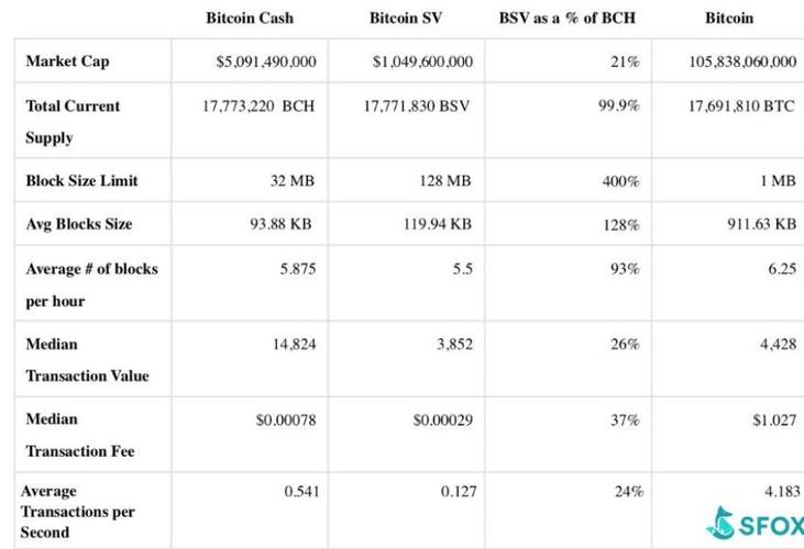 bch bsv区别？哪些钱包支持bsv-图3