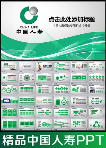 人寿保险属于资本项目吗？中国人寿投资的项目-图3