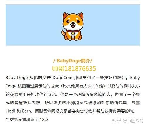 babydoge 怎么转钱包？狗狗钱包同步多长时间-图3