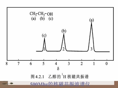 型谱图的意思？型谱项目-图3