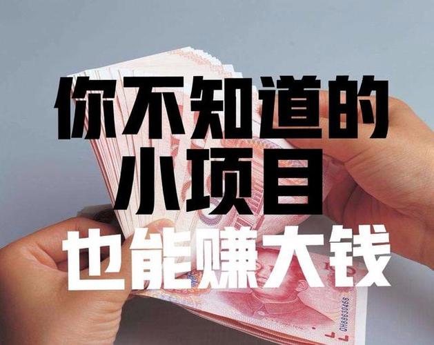 一天收入1000元左右，有哪些致富项目？目前有那些致富好项目-图3