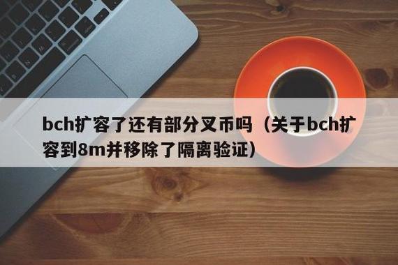 bch是哪个国家的？bch放钱包会分叉吗-图3