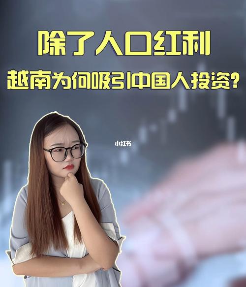 越南有哪些生意适合中国人做？2016投资好项目-图3