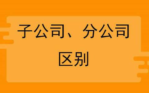 项目部是子公司还是分公司？项目公司 子公司-图3