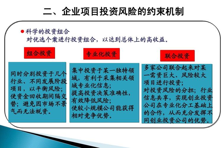 项目投资的风险主要有哪些？风险投资项目有哪些-图2