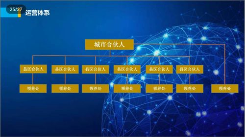 经济区域集团化什么意思？什么是集团项目合伙人-图1