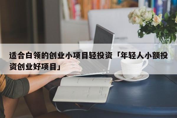 我想办一个小厂，投资10万一内，请大家指点做什么项目有前途？比较好的小投资项目-图2