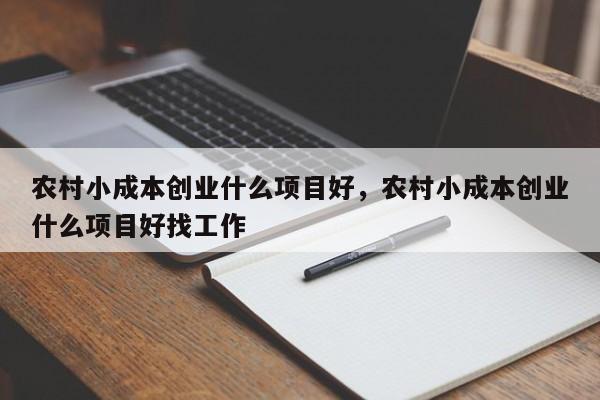 我想办一个小厂，投资10万一内，请大家指点做什么项目有前途？比较好的小投资项目-图1