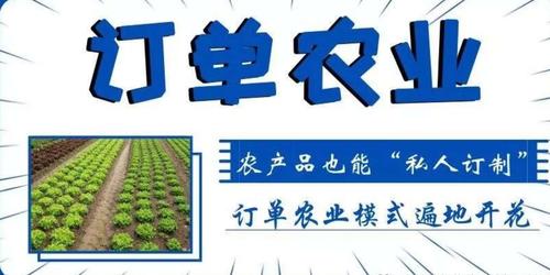 种植订单怎么做？订单农业种植项目-图1