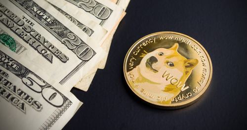 doge coin为什么不是dog coin？狗狗币DOGE钱包获取-图2