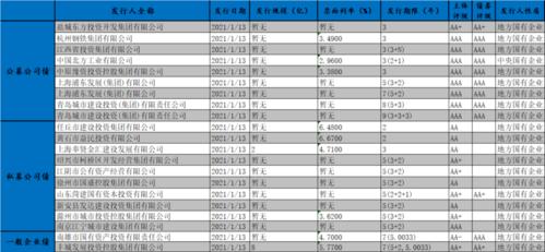 固定收益债券有哪些项目收益债券项目-图3