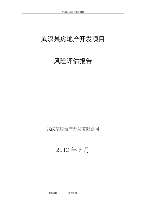 投资风险评估报告怎么写？项目资产评估报告-图3