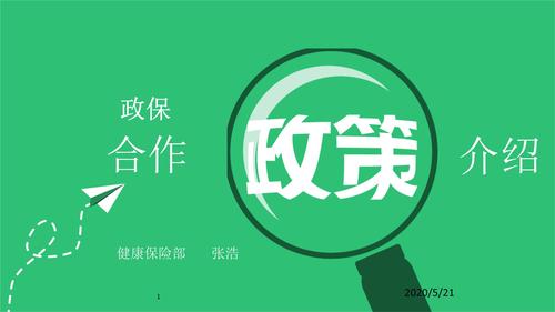 什么是政保？政保项目-图1